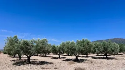 Terreno en venta en Monòver - Monóvar - Más