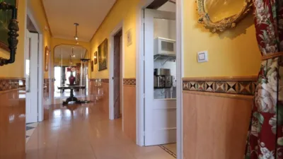 Villa in Algorfa photo 8