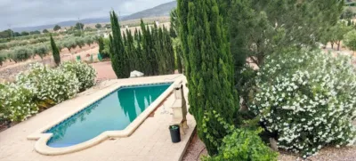 House in El Pinós - Pinoso photo 19