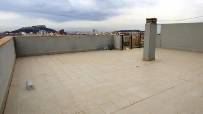 Pis - Vista 2