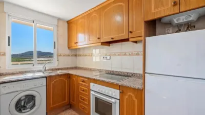 Apartment in Algorfa photo 12