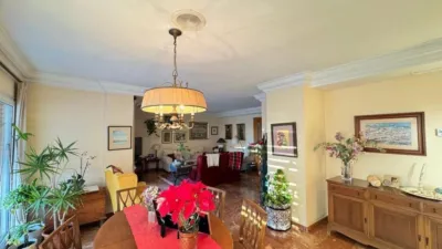Pis - Vista 5