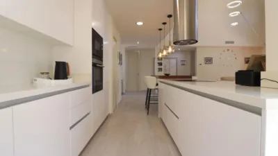 Villa in Algorfa photo 12
