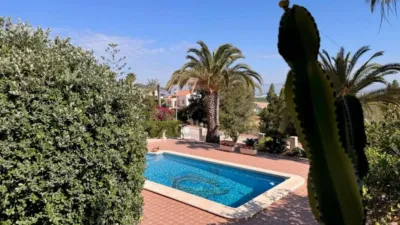 Villa in Algorfa photo 25