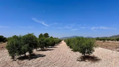 Terreno en venta en Monòver - Monóvar - Vista 5
