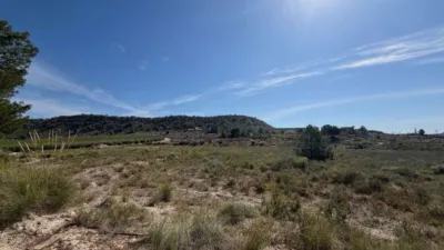 Terreno en venta en Orihuela - Vista 4