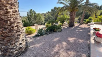 Villa in Algorfa photo 23