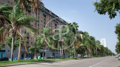 Apartment in La Creu del Grau photo 45
