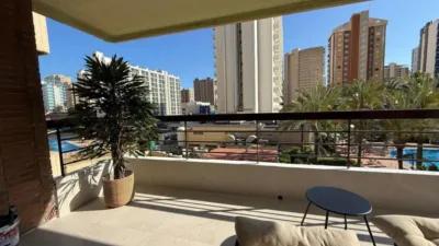 Apartment in Benidorm photo 14