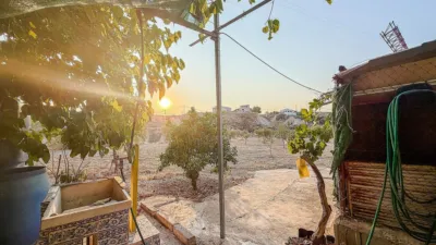 Rustic Finca in Abanilla photo 29