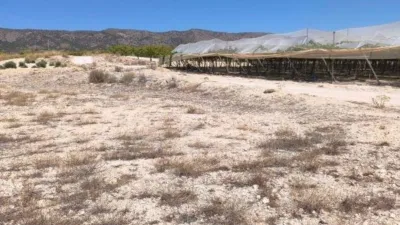 Terreno en venta en El Pinós - Pinoso - Vista 5