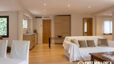 Apartment in Sant Nicolau photo 3