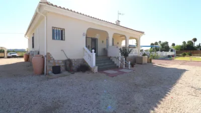 Finca rústica en Callosa de Segura photo 32
