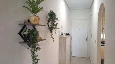 Apartment in Almoradí photo 2
