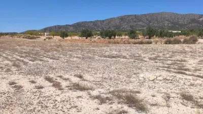 Terreno en venta en El Pinós - Pinoso - Vista 4