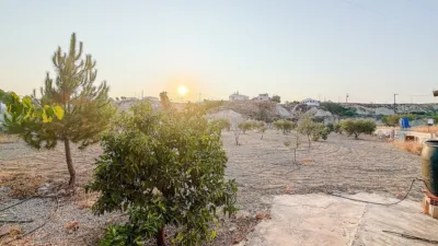 Rustic Finca in Abanilla photo 36