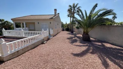 Villa in Algorfa photo 30