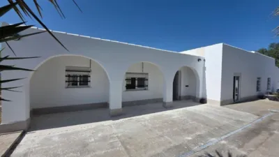 Casa – Elx - Elche - Vista 4