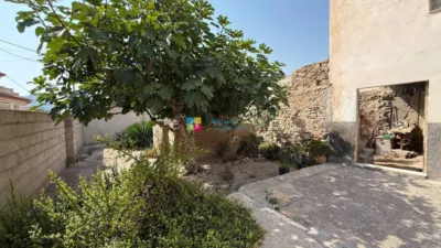 House in Cantoria photo 2