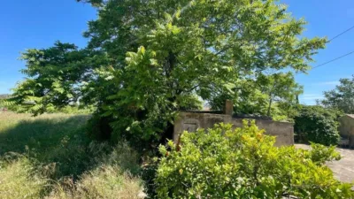 House in La Romana photo 17
