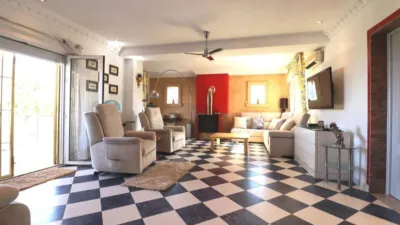 Villa in Algorfa photo 3