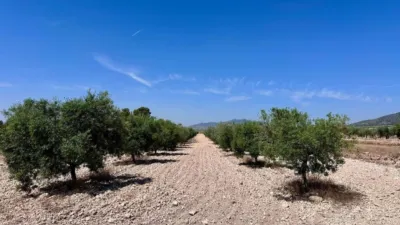 Terreno en venta en Monòver - Monóvar - Vista 3