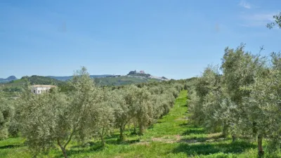 Rustic Finca in Olvera photo 5