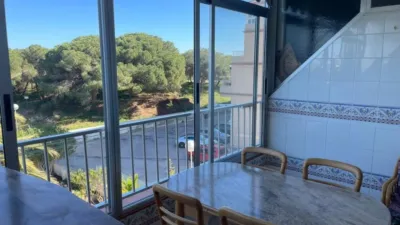 Apartment in Guardamar del Segura photo 6
