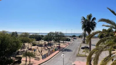 Apartment in Guardamar del Segura photo 21