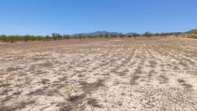 Terreno en venta en El Pinós - Pinoso - Vista 2
