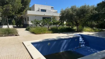 Villa in Sant Vicent del Raspeig - San Vicente del Raspeig photo 7