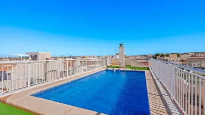 Apartment in Algorfa photo 28