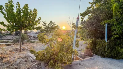 Rustic Finca in Abanilla photo 35