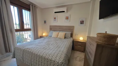 Apartment in Algorfa photo 29