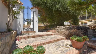 Rustic Finca in Medina Sidonia photo 43