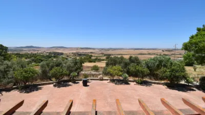 Rustic Finca in Medina Sidonia photo 3