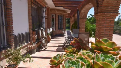 Rustic Finca in Medina Sidonia photo 46