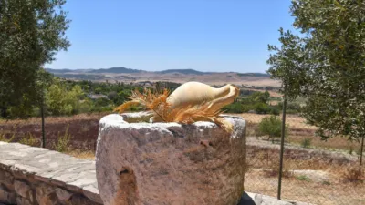 Rustic Finca in Medina Sidonia photo 48