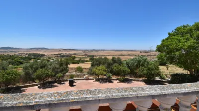 Rustic Finca in Medina Sidonia photo 39