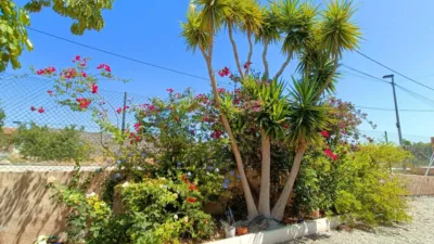 Villa in Abanilla photo 40