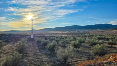 House in Torre del Rico photo 48