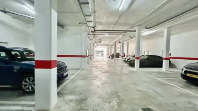 Apartment in Algorfa photo 44