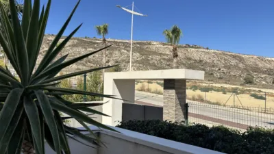 Apartment in Algorfa photo 38
