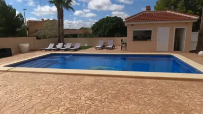 Chalet in Algorfa photo 50