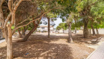 Apartamento en Aguas Nuevas-Torreblanca-Sector 25 photo 42