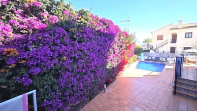 House in Algorfa photo 42