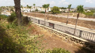 Apartment in Algorfa photo 3
