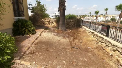 Apartment in Algorfa photo 7