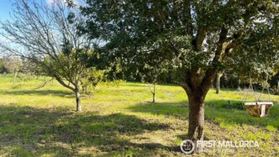 Finca rústica en alquiler en Montuïri, Montuïri de 2.000 €<span>/mes</span>