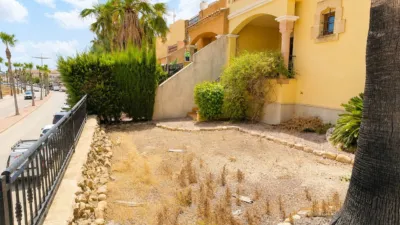 Apartment in Algorfa photo 4